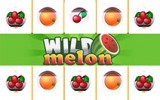 Wild Melon