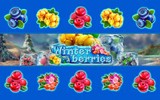 Winterberries